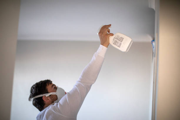 Best Professional Mold Removal  in Harlingen, TX