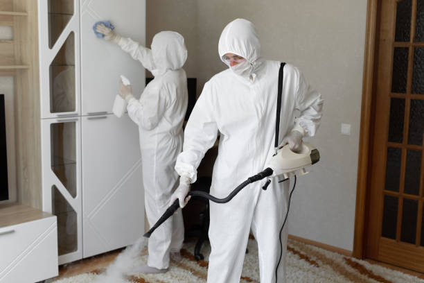 Certified Mold Removal in Harlingen, TX