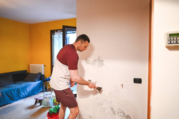 Best Commercial Mold Removal  in Harlingen, TX